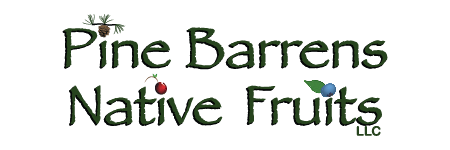 Pine Barrens Native Fruits